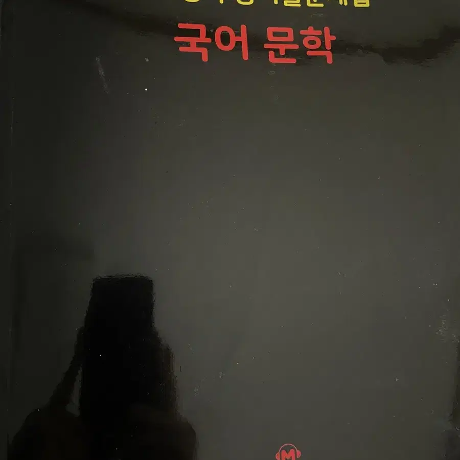 마더텅 국어 문학 2025