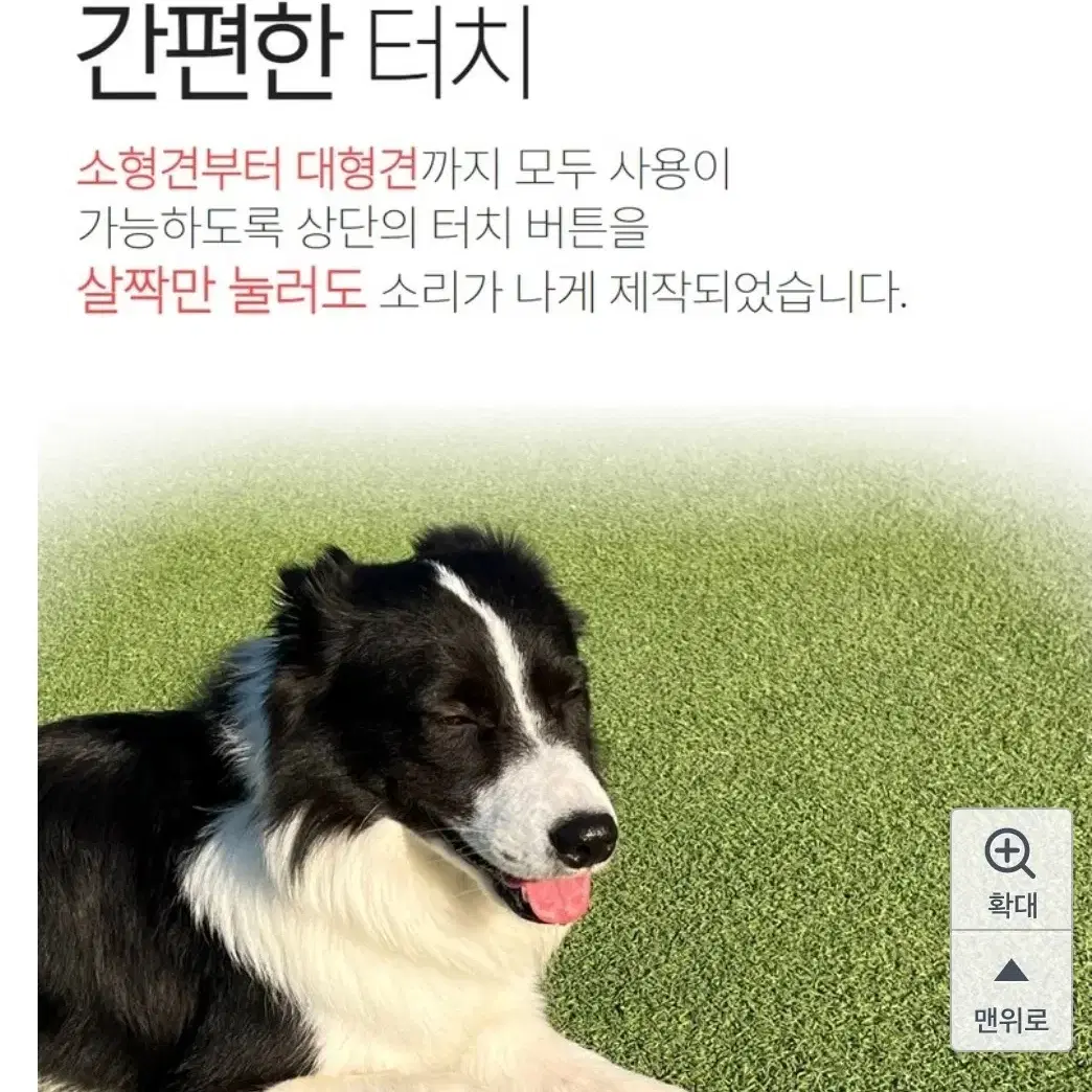 강아지 훈련벨 녹음벨 간식벨 훈련용품