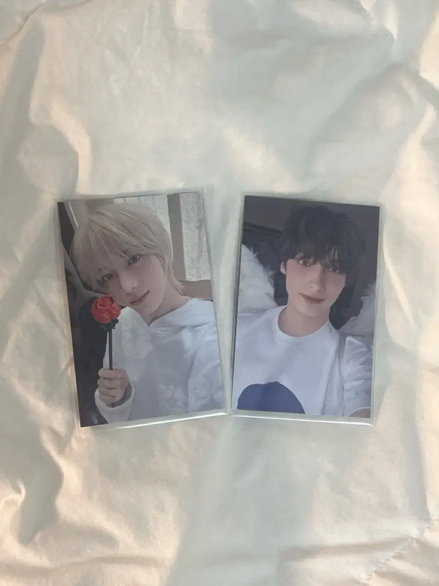 Tubatu Sanctuary broadcast photocard wts