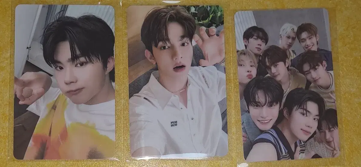 ZB1 Clean photocard in bulk