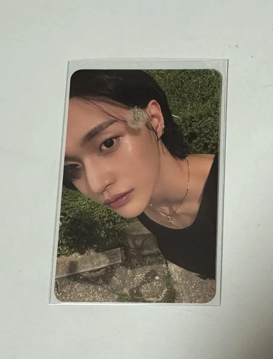 Rize wonbin dandelion photocard