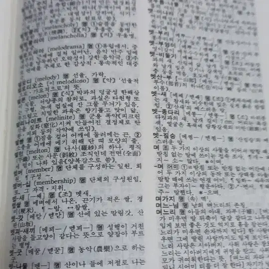 영한사전,국어사전