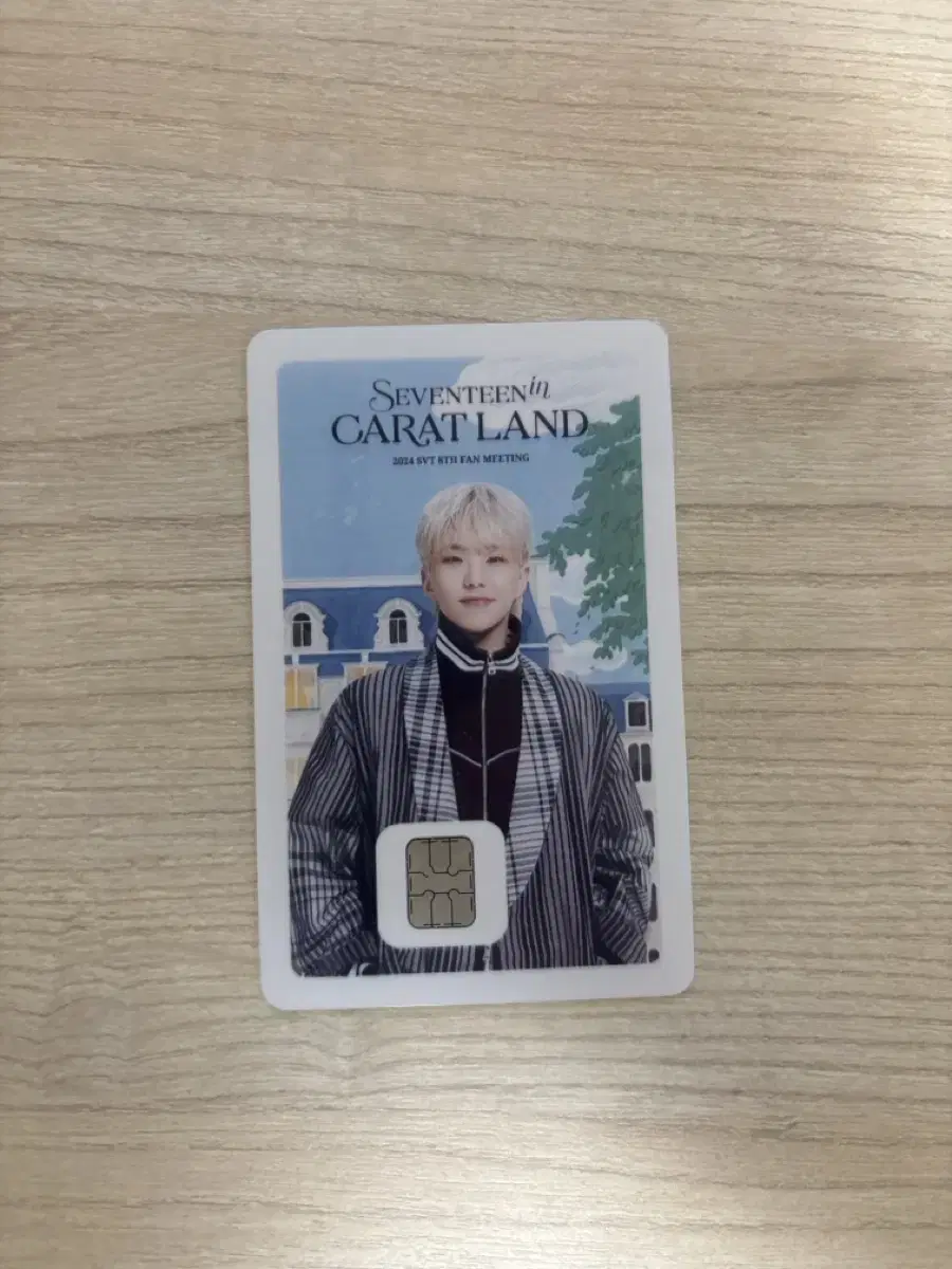 Seventeen 2024 Caratland Namanekard Hoshi