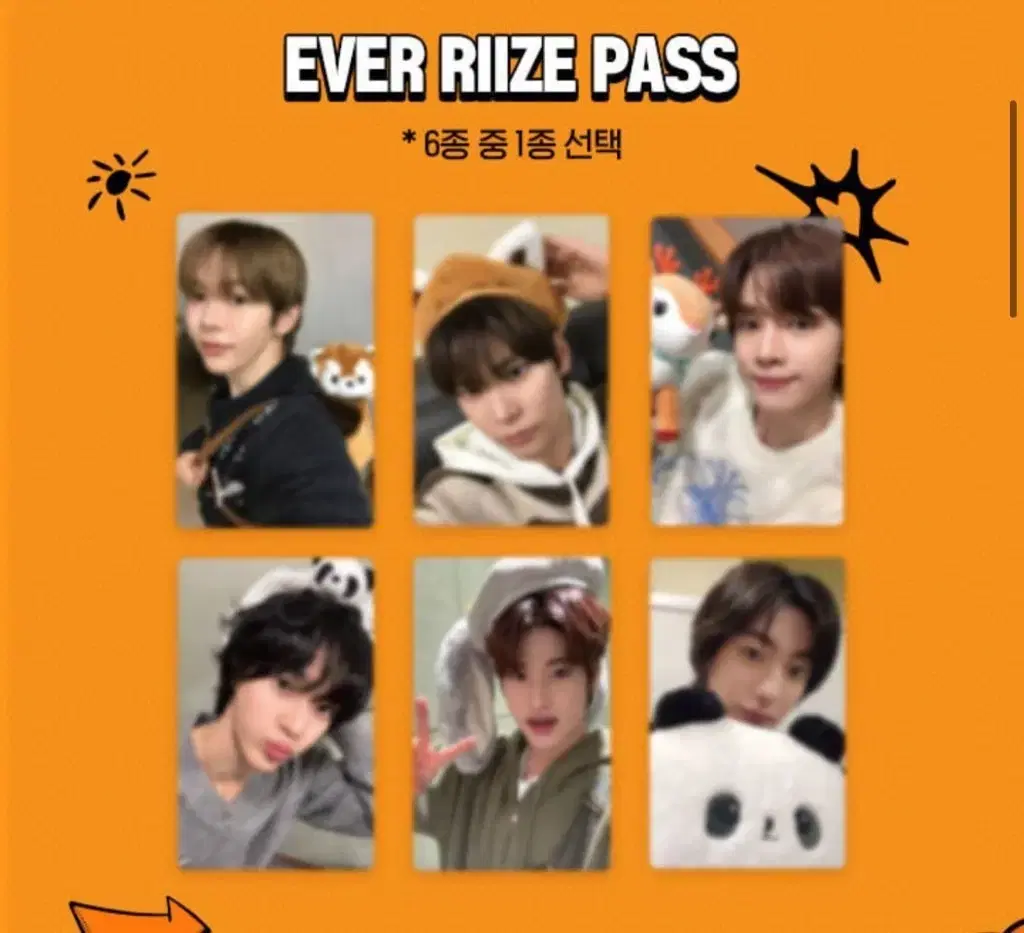 Negotiate pricing) Everize Pass 2nd wonbin Entry photocard WTS