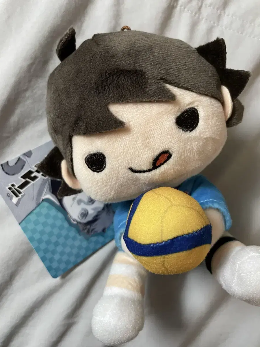 Haikyuu Oikawa Receive Nuigurumi