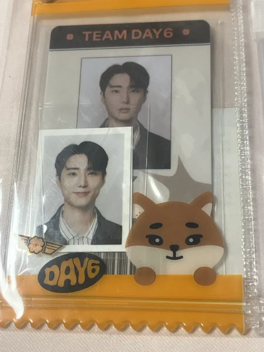 Day 6 License ID Photo kard Set YoungKay