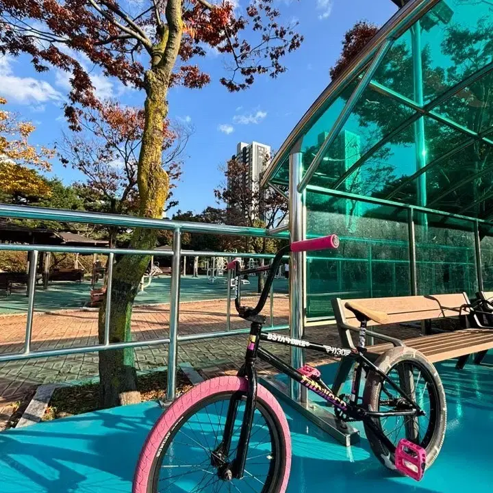 Fitbikeco 글로스 블랙 커스텀bmx