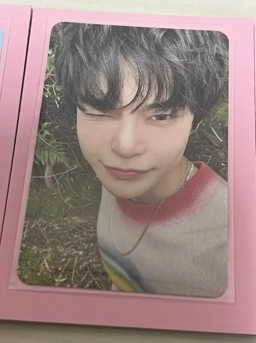 doyoung 청춘의포말 photocard wts