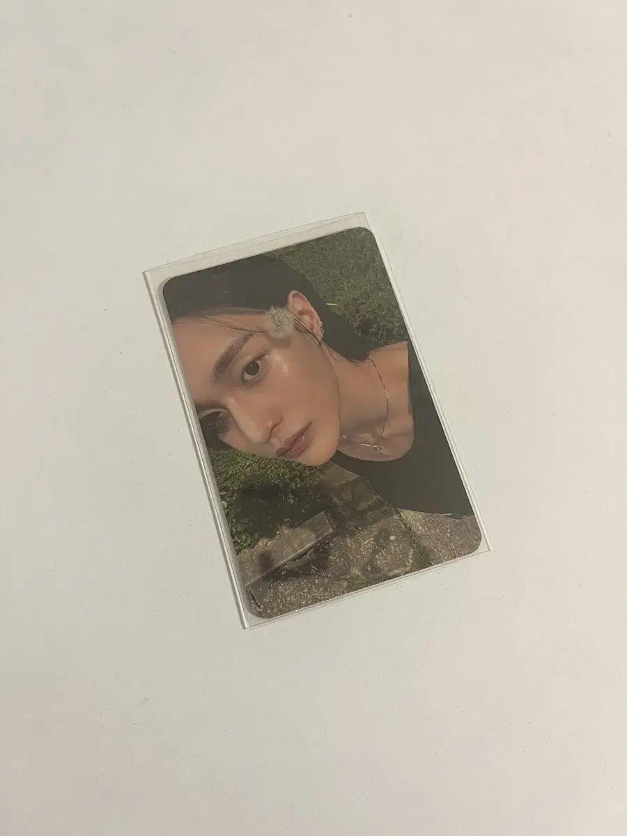 Dandelion wonbin photocard wts riize wonbin Photocard