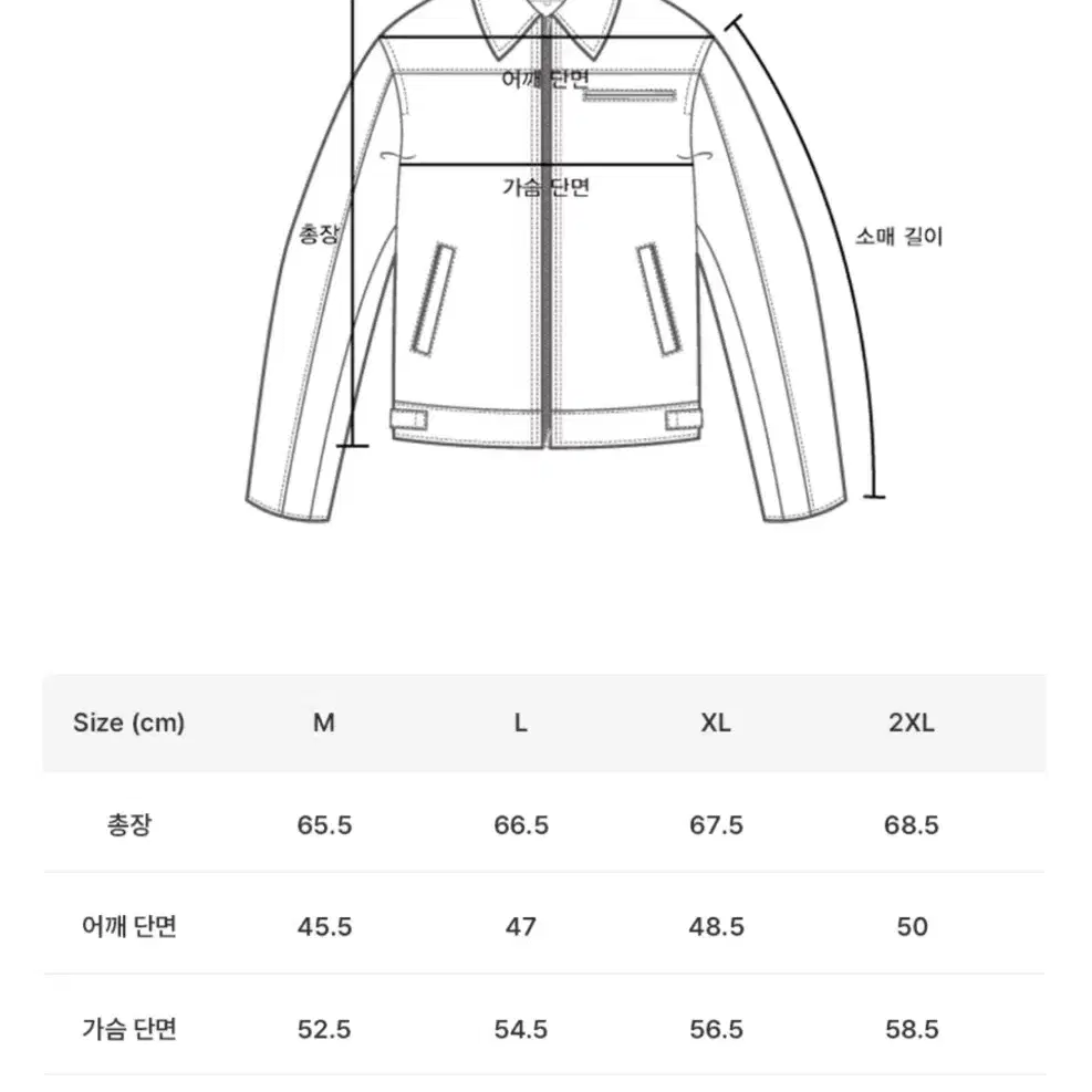 (XXL) 도프제이슨 램스킨 싱글 레더 자켓