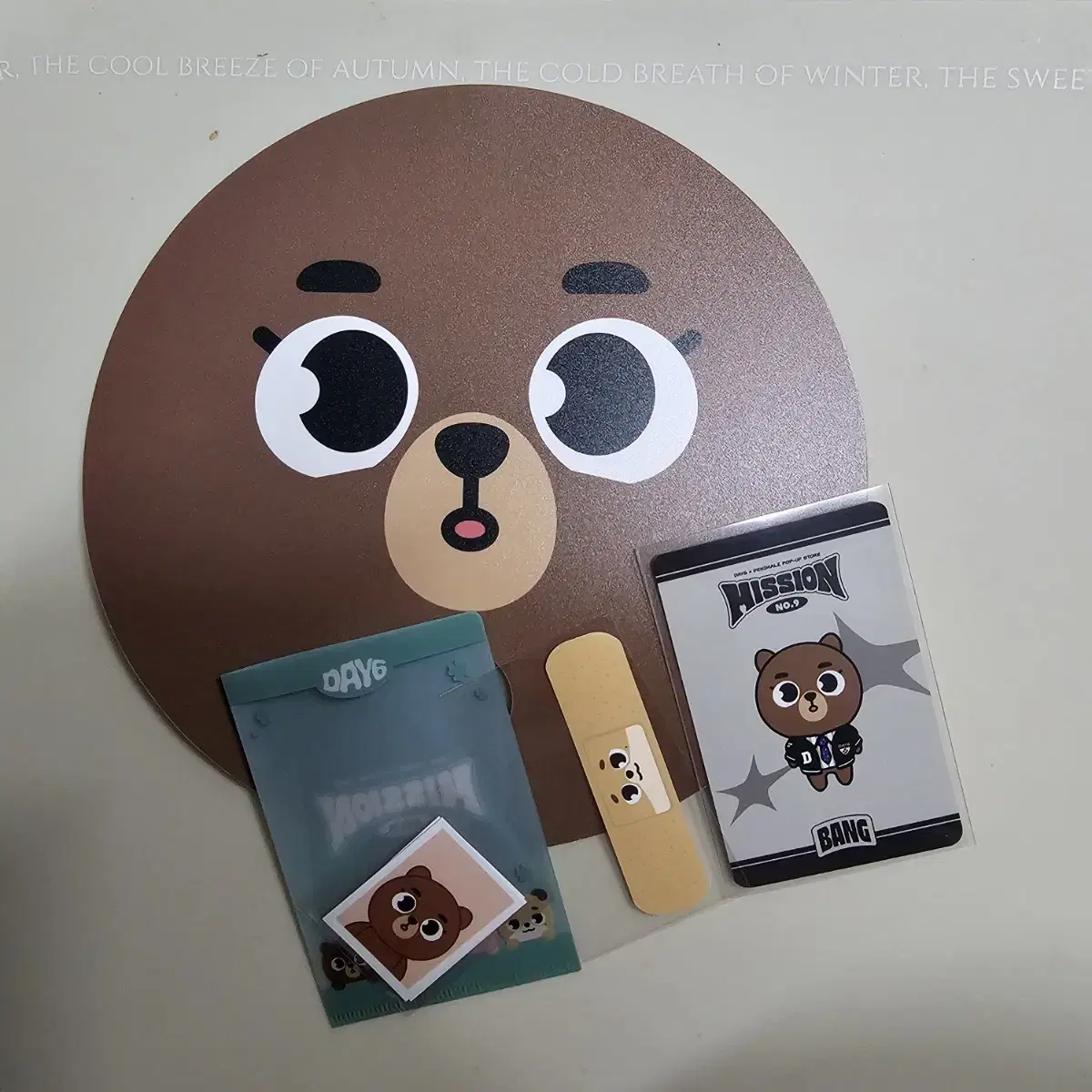 Day 6 Denimals pop up Fans, Denimals Proof Photo Mini Holders, etc.