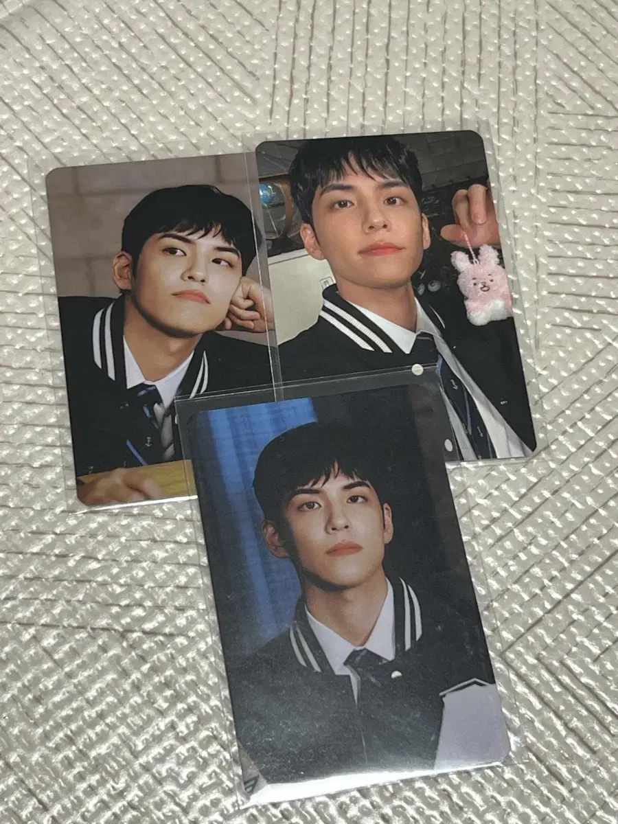 Day 6 One Peel Denimals Pilkie collect book photocard