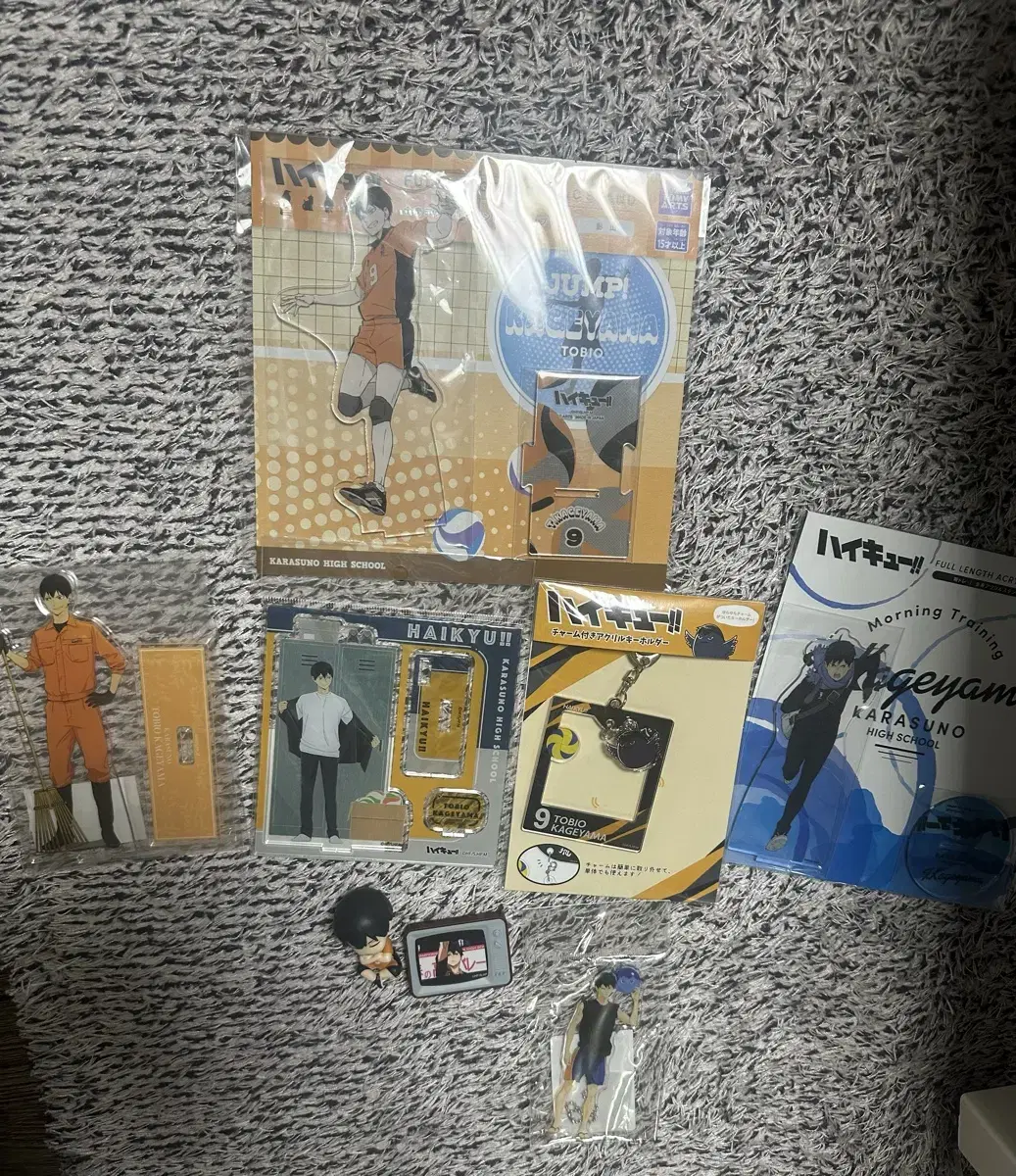 Tobio Kageyama acrylic Goods WTS