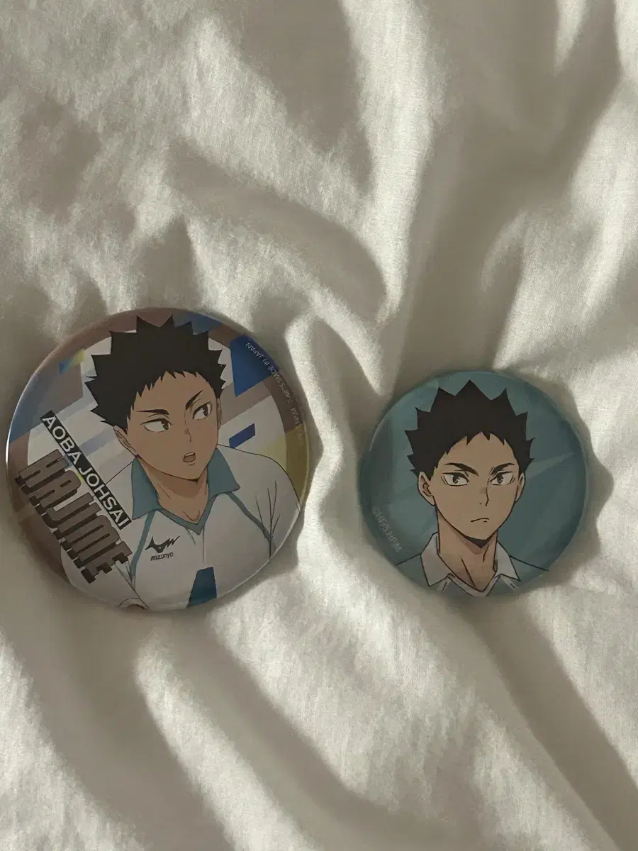 Haikyuu Iwaizumi Canbadge (Bulk)