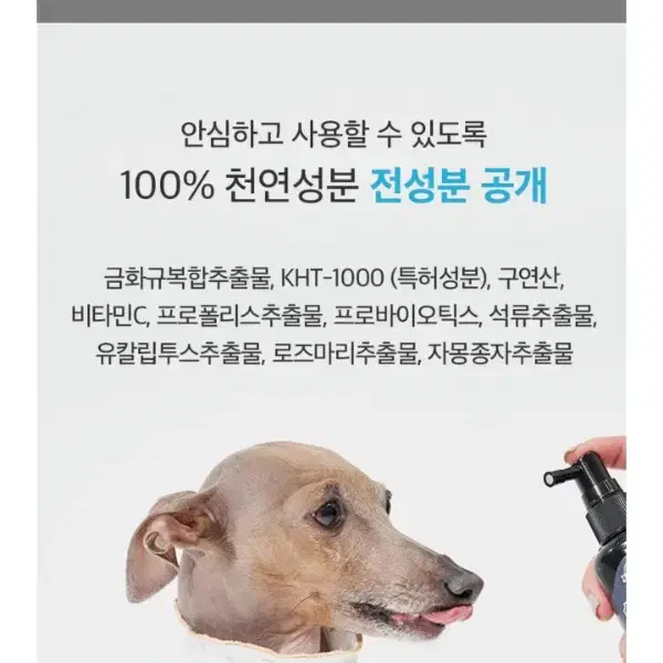 강아지고양이 덴탈스프레이(냄새쓱싹)