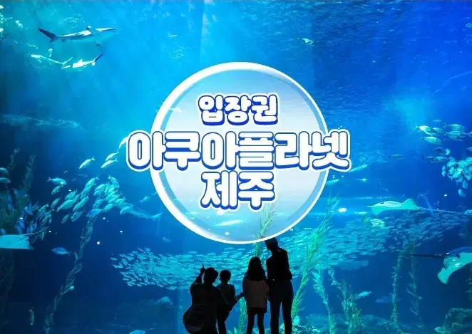 제주 아쿠아플라넷 1인 입장권