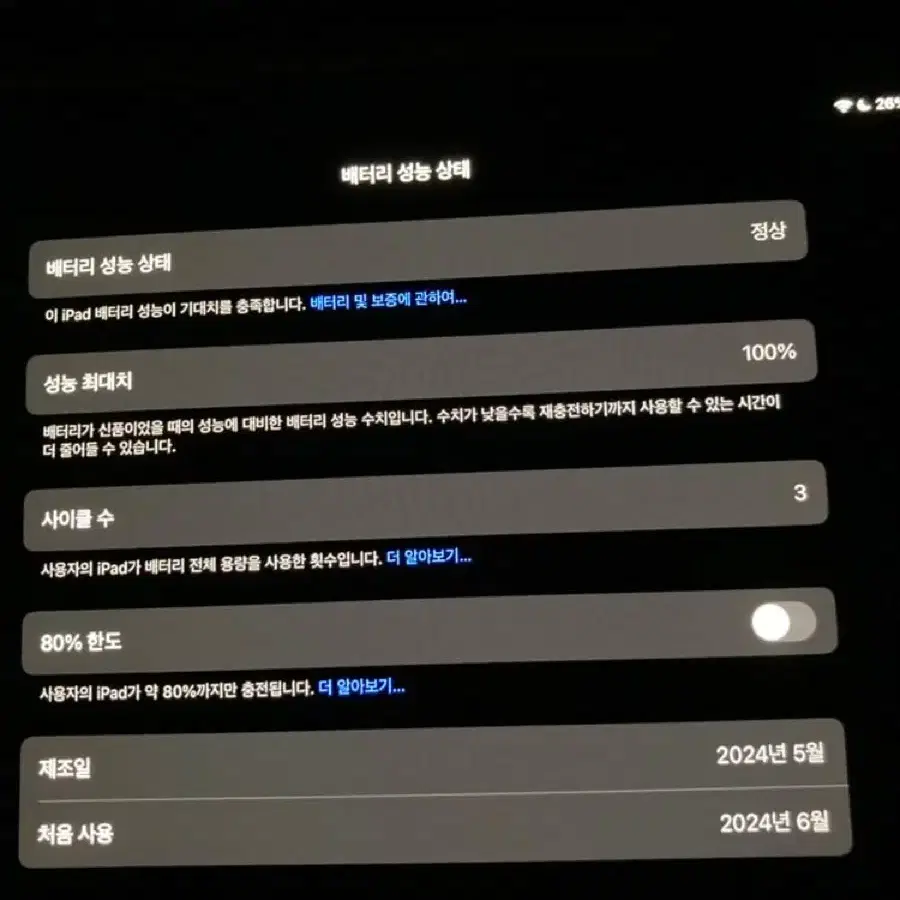 아이패드 프로 13 m4 256