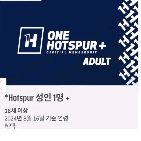 토트넘 멤버십 One Hotspur+(플러스)