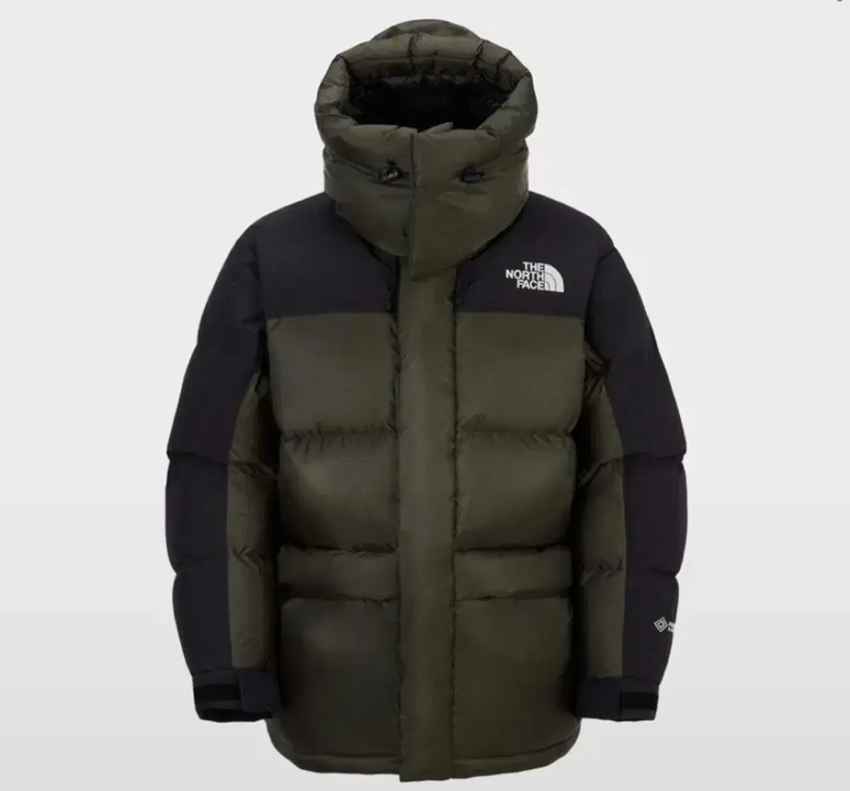 (New) The North Face 1994 Retro Power Down Parka