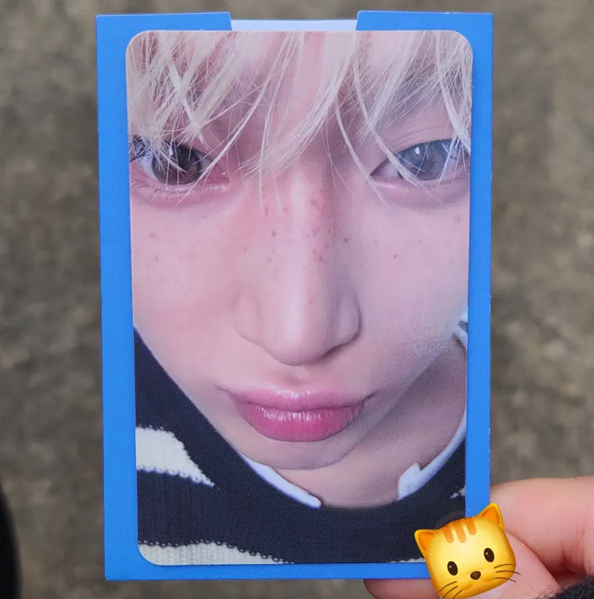 enhypen sunwoo dey dream nodaot gongbang photocard wts