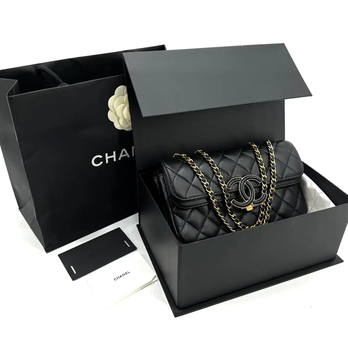 Chanel CC Chic Double Flap Shoulder Bag