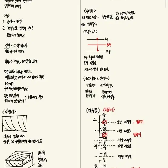 수능 과외 학생 모집합니다 (광주, 줌수업도 가능)