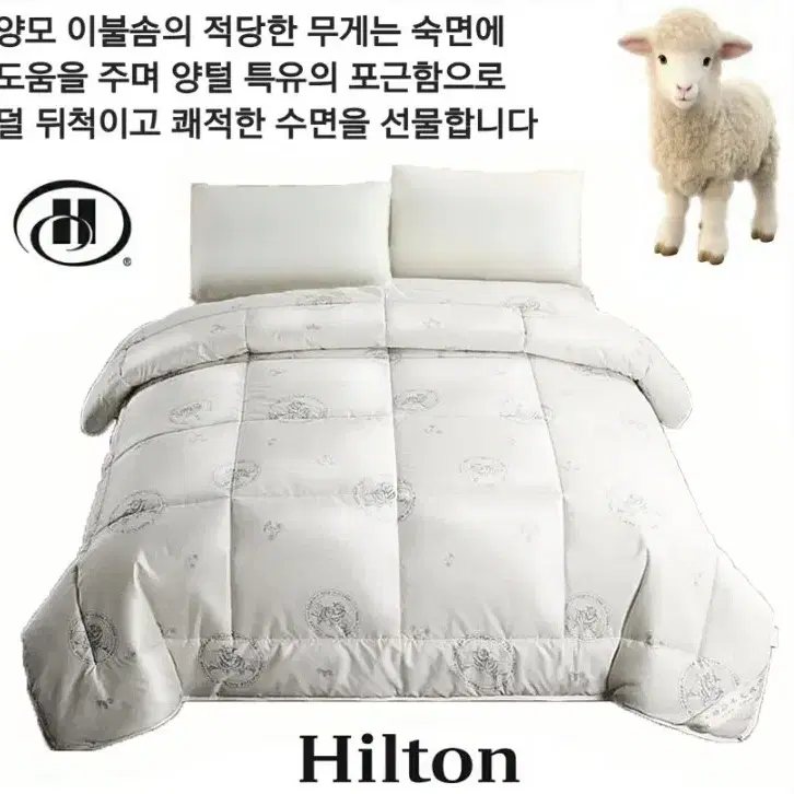 HILTON 힐튼 프리미엄 최고급 양모이불 슈퍼싱글