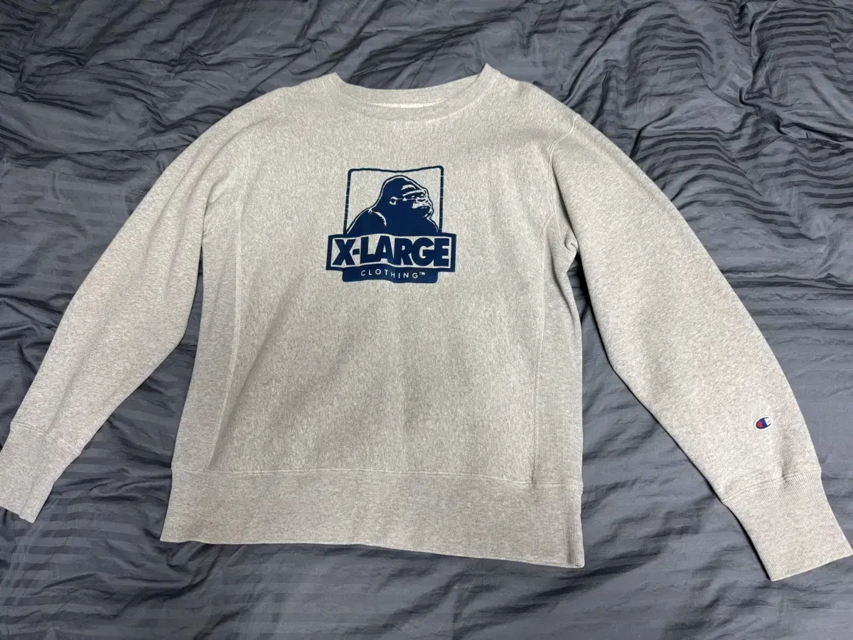 Champion Bloo Tac Man to Man (Melange Gray) XL