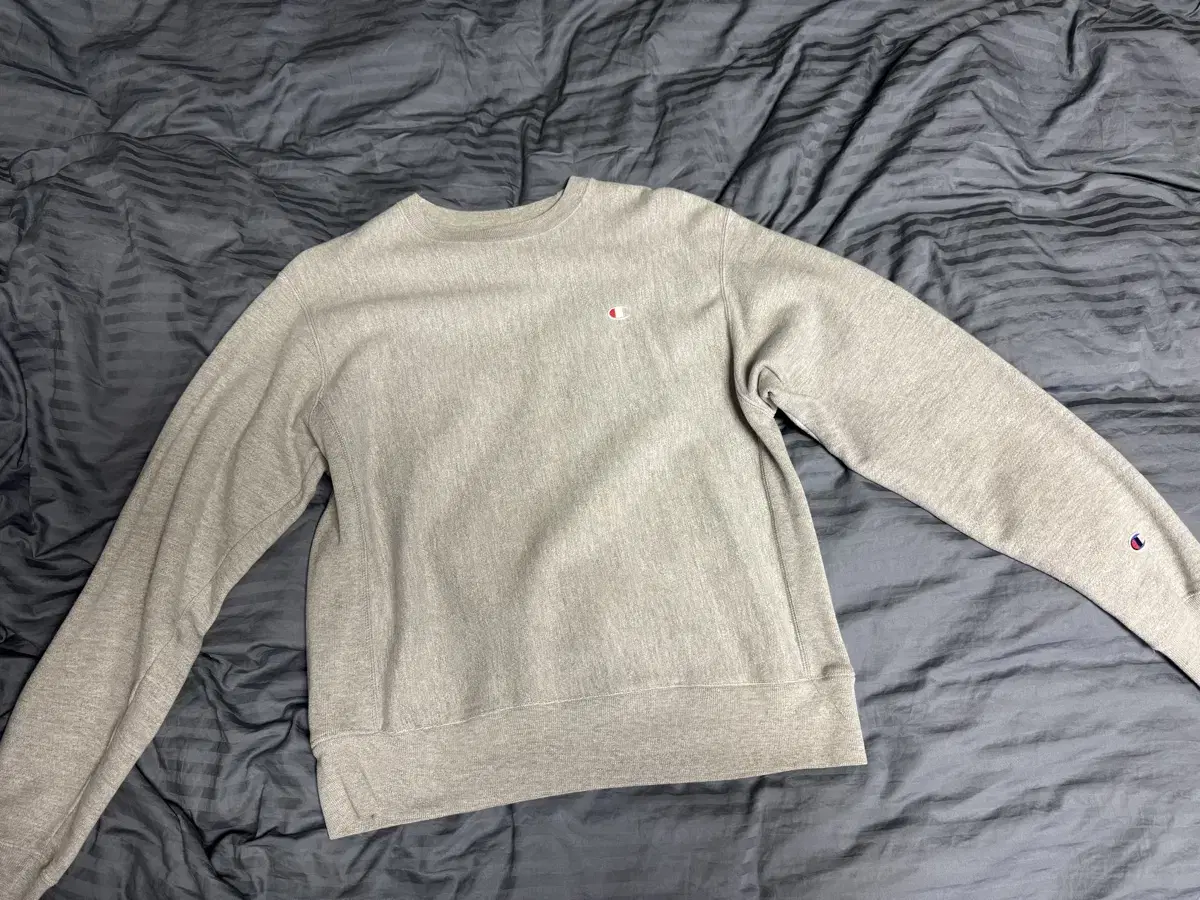 Champion Reverse Weave Man to Man (Gray) M