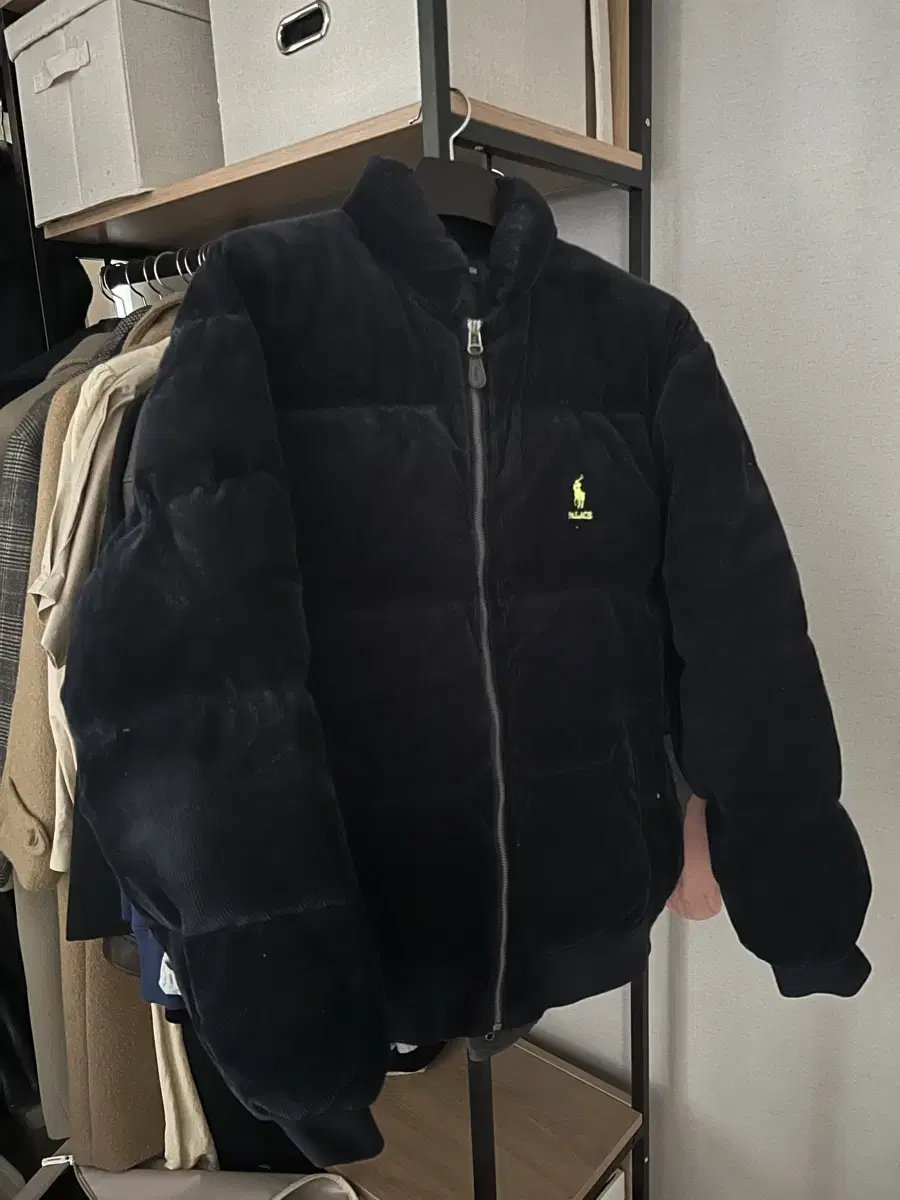 Polopalace Navy Padded L