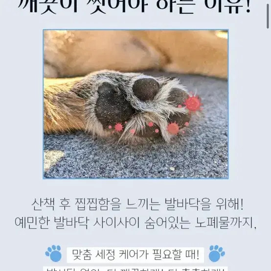 강아지발세정제 바이랩 새상품