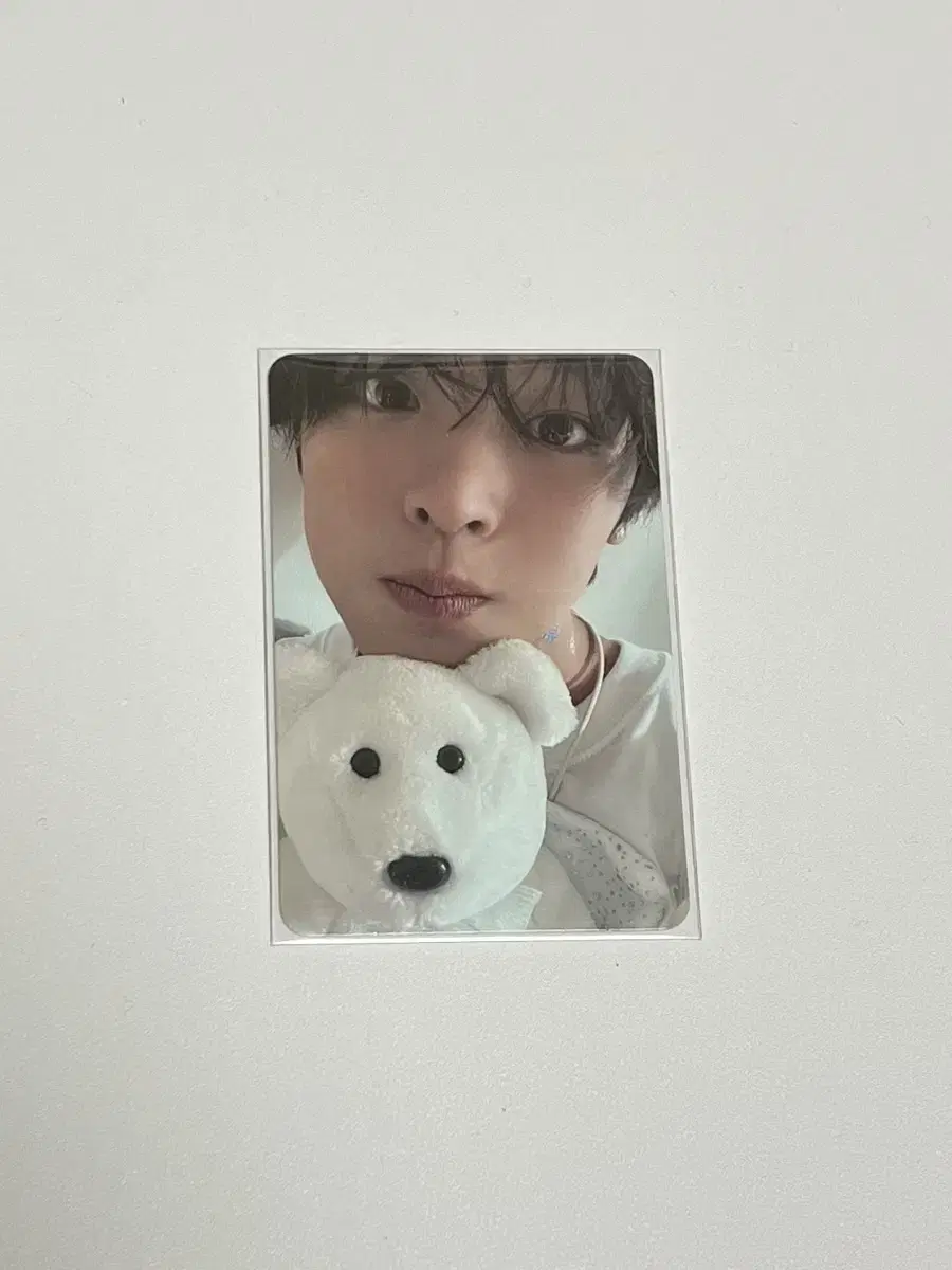 NCTWish Steady riku albumPhotocard WTS