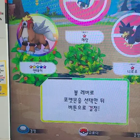 포켓몬가오레