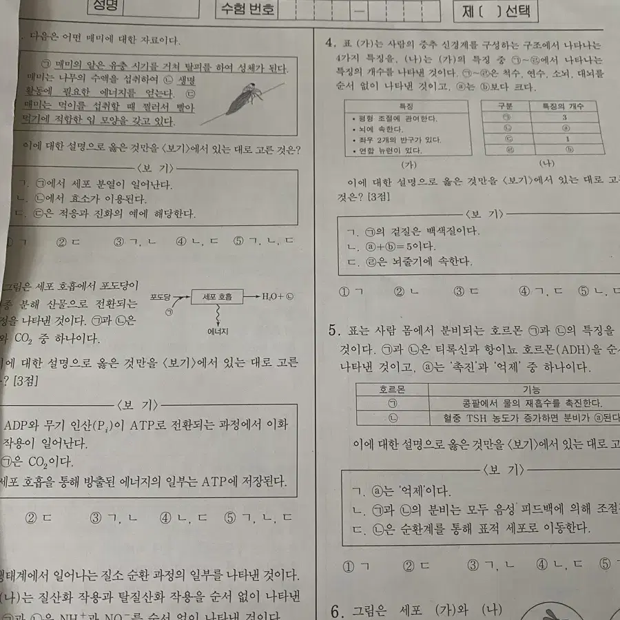 날개 모의고사 시즌1