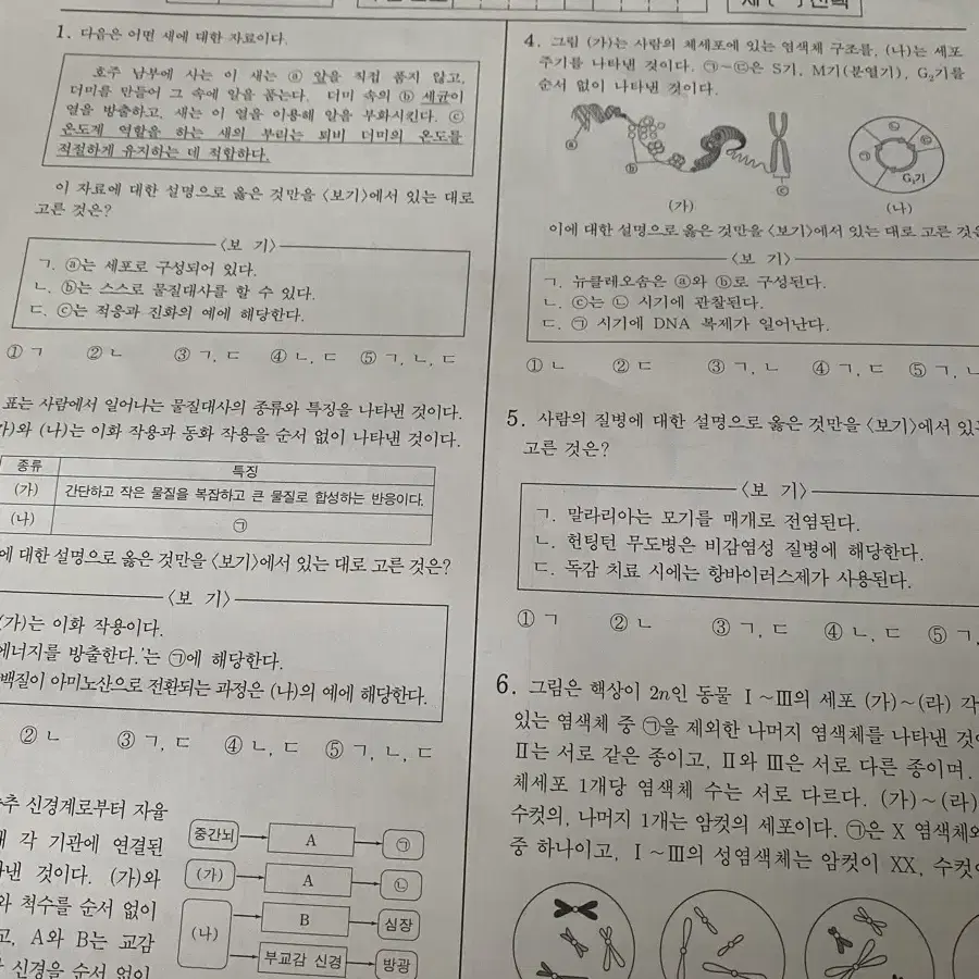 날개 모의고사 시즌1