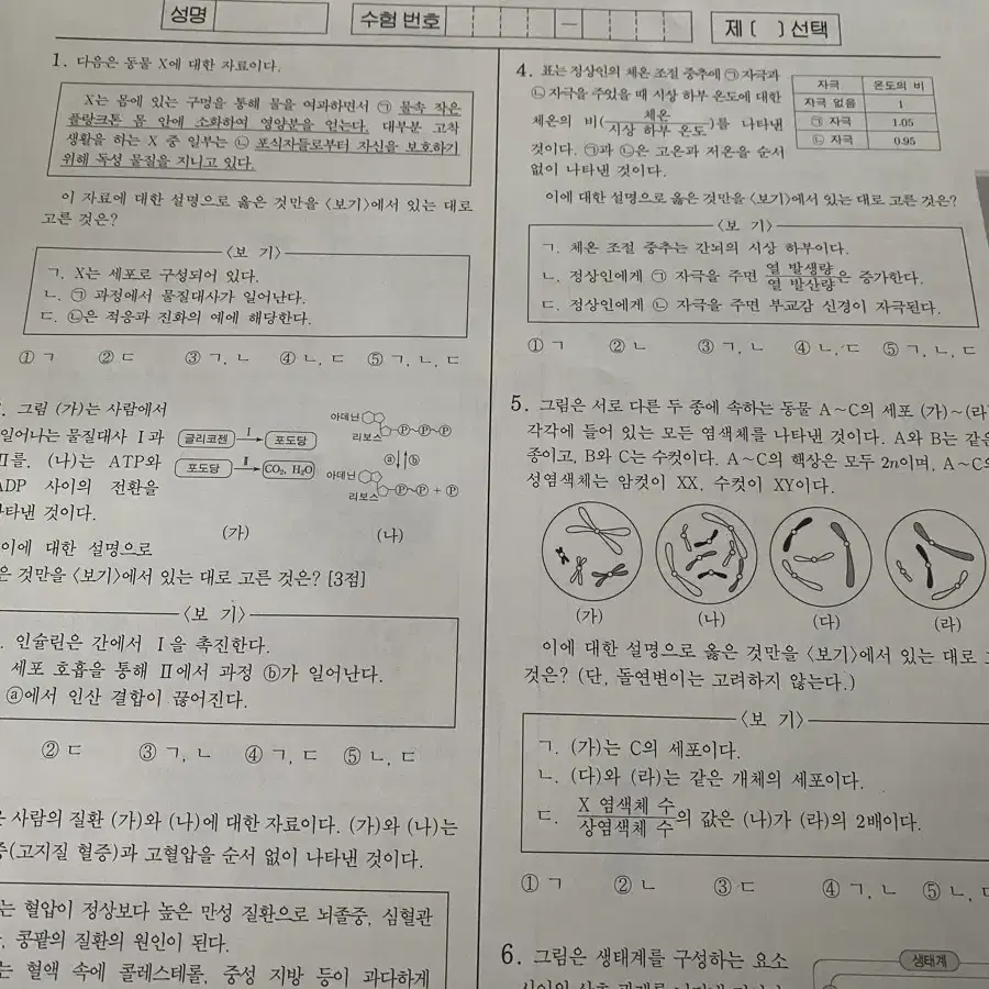 날개 모의고사 시즌1