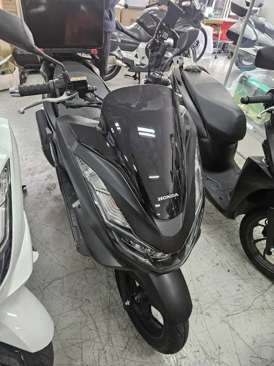 pcx