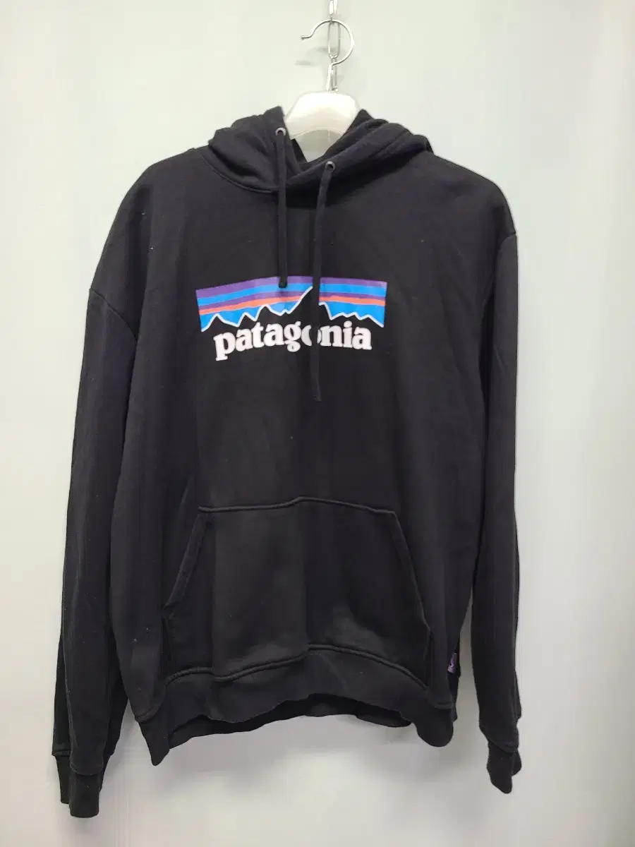 Patagonia Brushed Hoodie XXL