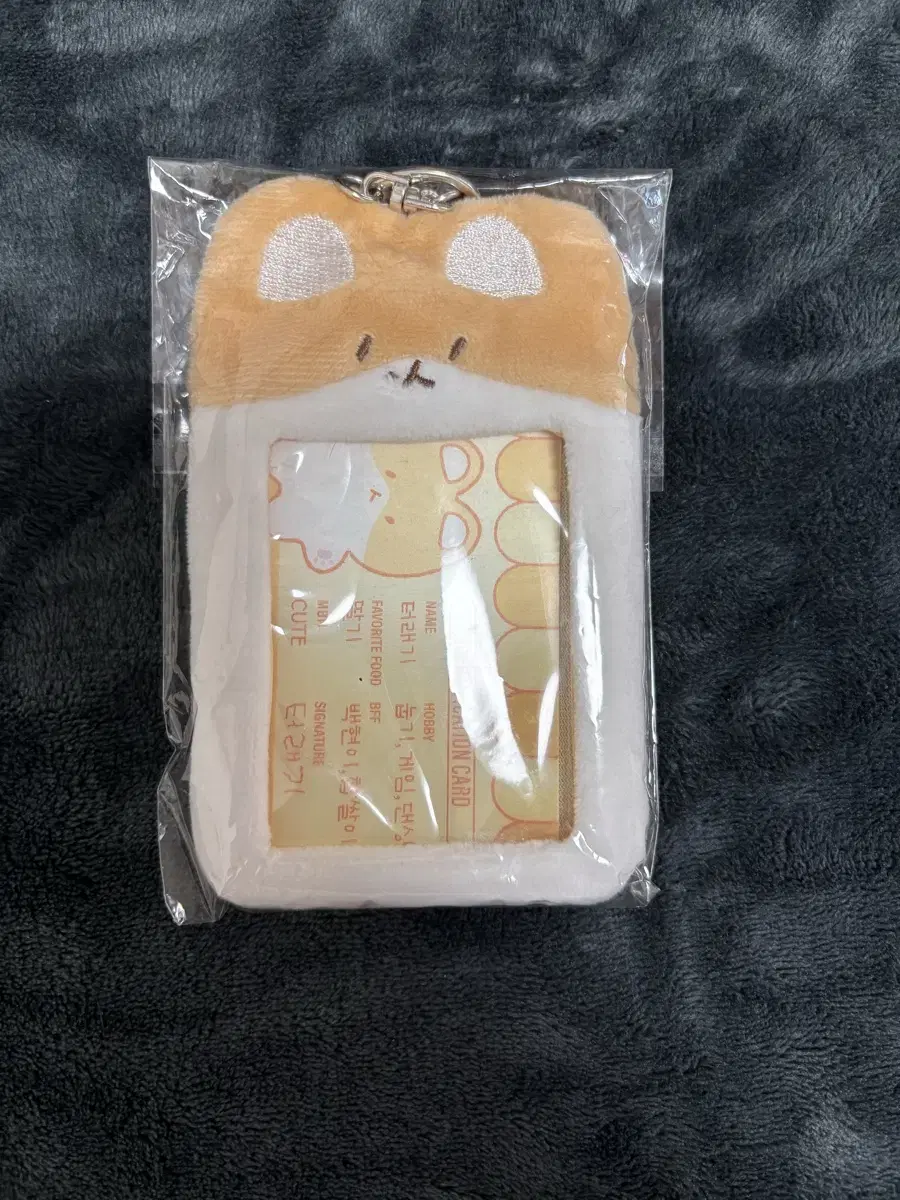 Teolaegi photocard holder