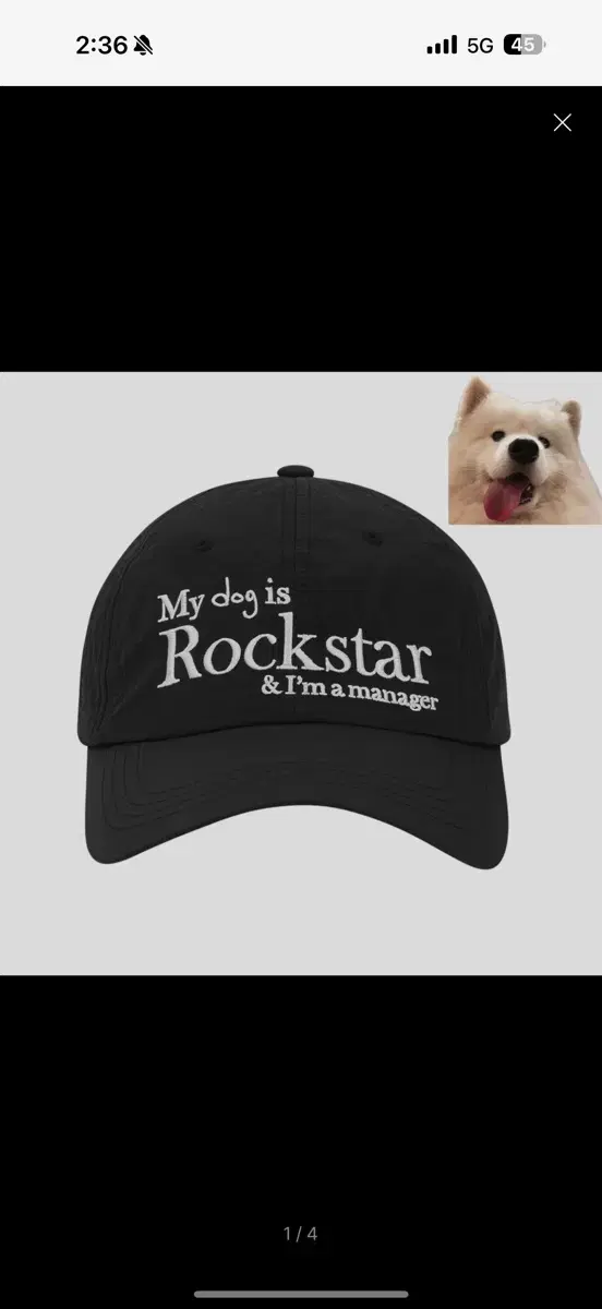 조거쉬 모자 나일론 볼캡 my dog is rockstar