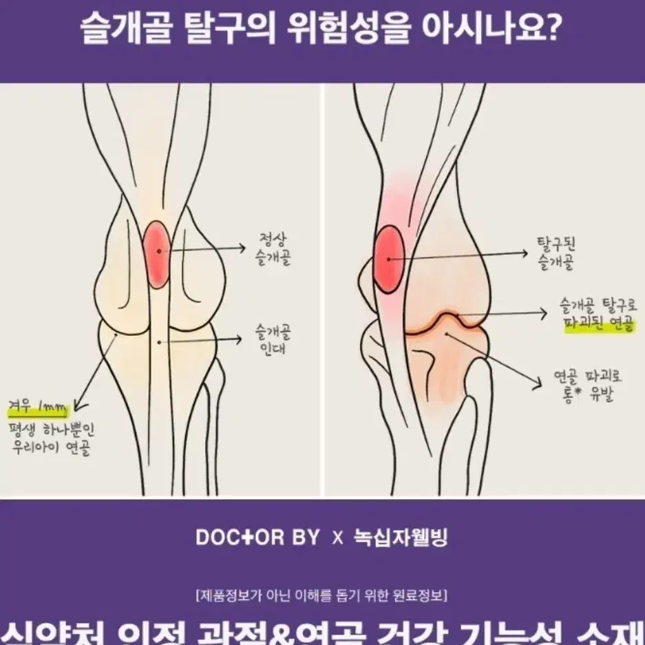 닥터바이 조인트 강아지 관절 영양제