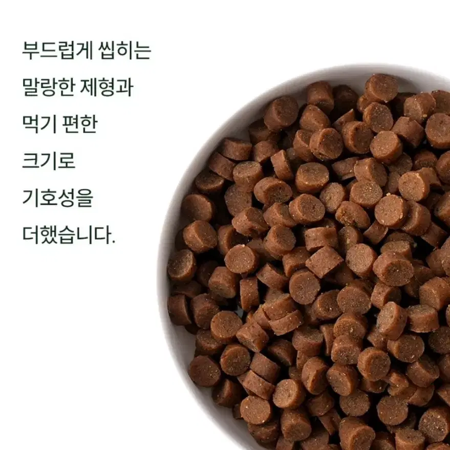 [본아페티] 프리미엄 강아지 눈건강 연어 수제 사료 1kg