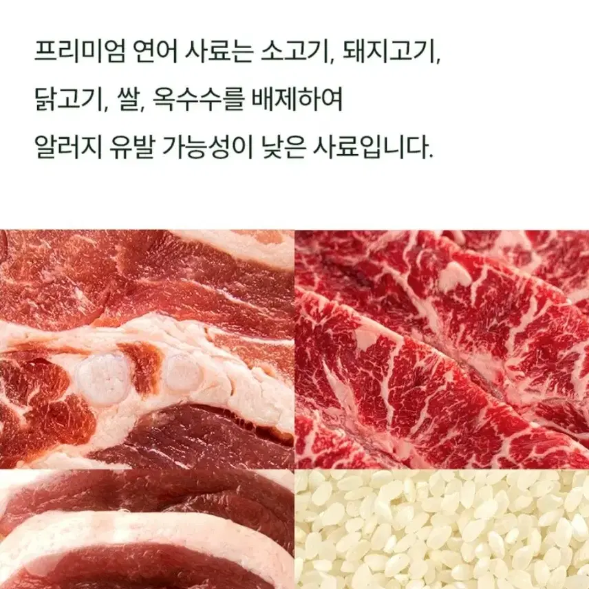 [본아페티] 프리미엄 강아지 눈건강 연어 수제 사료 1kg