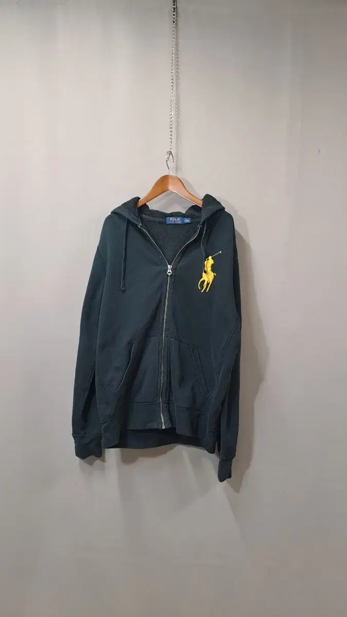 Polo Brushed Hood Zip Up