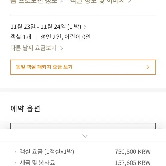 롯데호텔 서울 이그제큐티브타워 프리미어 23일 토요일