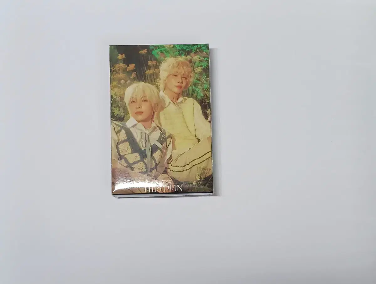 Jeonghan X Wonwoo (Seventeen) Disman unofficial goods photocard