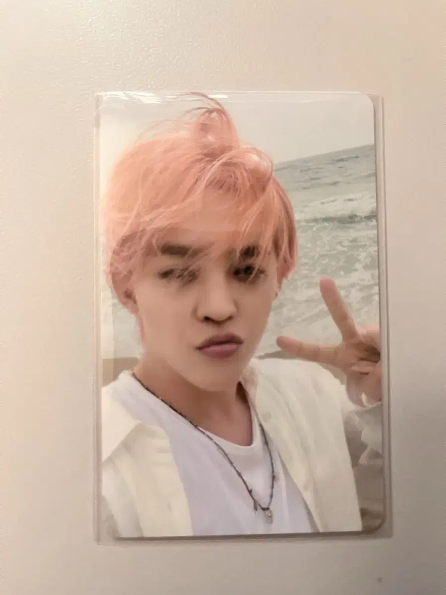 seventeen s.coups with muu ld wts