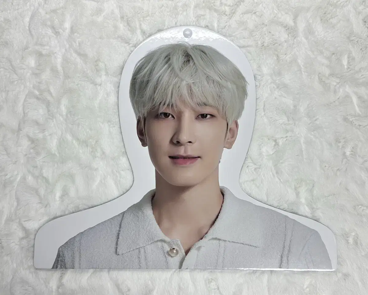 Seventeen Home wonwoo Photo Hanger