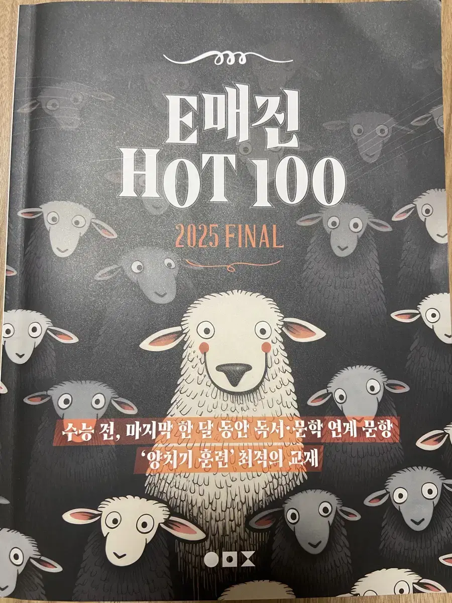 E매진 hot100 이매진 상상 국어 연계 교재