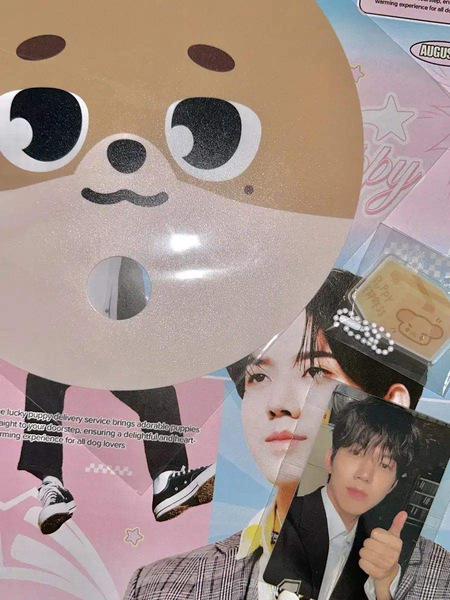 Day 6 Done Denimals fan + photocard + rawhide keyring.